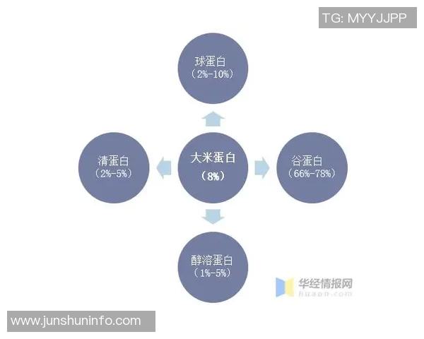 独家分析LNG配合方式的优劣对比及市场前景探讨