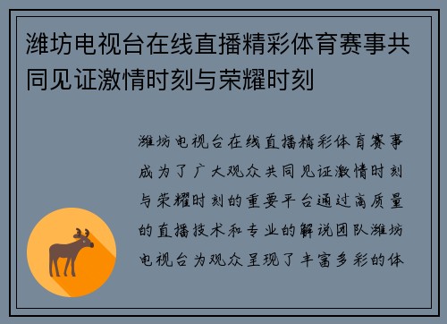 潍坊电视台在线直播精彩体育赛事共同见证激情时刻与荣耀时刻